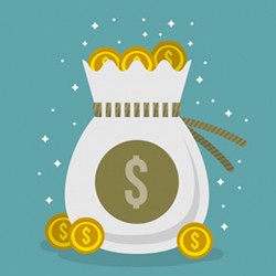 Fund a Dream:  A Step by Step Guide to Your Next Campaign Feasibility Assessment